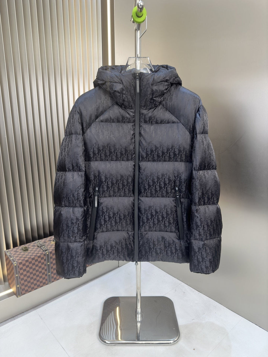 Dior Tonal Monogram Hooded Puffer Jacket